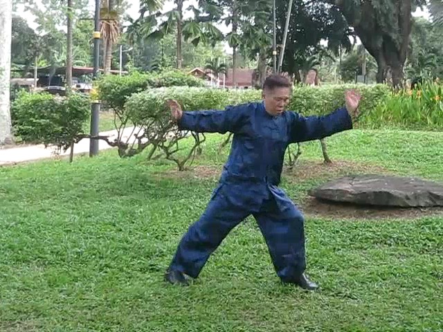 Wu Yu Xiang Style Taijiquan